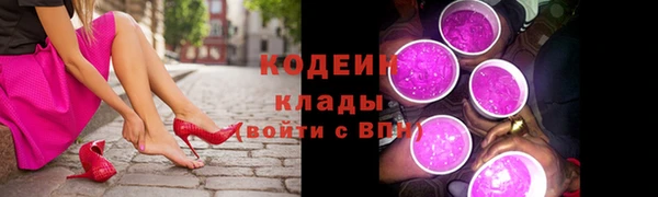 эйфоретик Вяземский