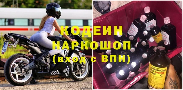 эйфоретик Вяземский