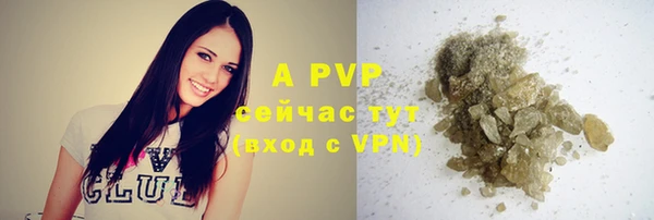 эйфоретик Вяземский