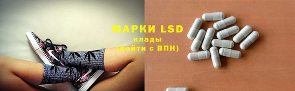 эйфоретик Вяземский