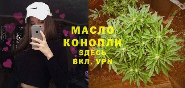 эйфоретик Вяземский