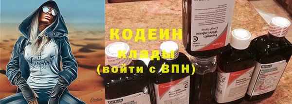 эйфоретик Вяземский