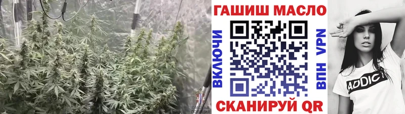 Купить где Тимашёвск Дистиллят ТГК гашишное масло