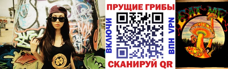 Псилоцибиновые грибы Psilocybine cubensis  Купить  Тимашёвск 